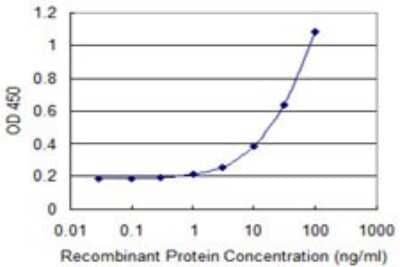 Sandwich ELISA: Kell Antibody (4B10) [H00003792-M01] - Detection limit for recombinant GST tagged KEL is 1 ng/ml as a capture antibody.