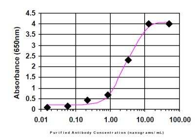 ELISA: Ki67/MKI67 Antibody [18880002] - Ki67/MKI67 was serially diluted onto an ELISA plate coated with a recombinant protein fragment.