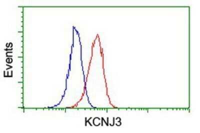 Flow Cytometry: Kir3.1 Antibody (OTI1G3) - Azide and BSA Free [NBP2-71065] - Analysis of Jurkat cells, using anti-Kir3.1 antibody, (Red), compared to a nonspecific negative control antibody (Blue).