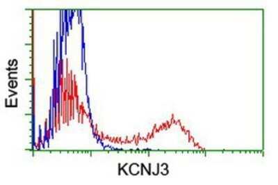 Flow Cytometry: Kir3.1 Antibody (OTI1G3) - Azide and BSA Free [NBP2-71065] - HEK293T cells transfected with either overexpression plasmid (Red) or empty vector control plasmid (Blue) were immunostaining by anti-Kir3.1 antibody, and then analyzed by flow cytometry.