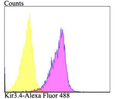 Flow Cytometry: Kir3.4 Antibody [NBP2-76943] - Flow cytometric analysis of HepG2 cells with Kir3.4 antibody at 1/100 dilution (purple) compared with an unlabelled control (cells without incubation with primary antibody; yellow). Alexa Fluor 488-conjugated goat anti-rabbit IgG was used as the secondary antibody.