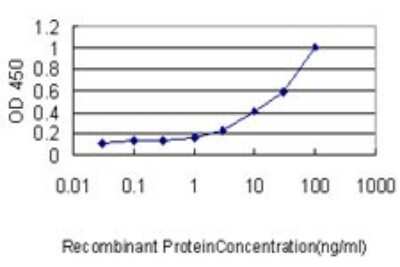 Sandwich ELISA: Kirrel2/NEPH3 Antibody (2B9-1D3) [H00084063-M01] - Detection limit for recombinant GST tagged KIRREL2 is approximately 0.3ng/ml as a capture antibody.