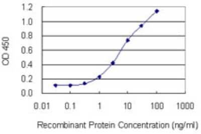 Sandwich ELISA: Kirrel3/NEPH2 Antibody (3A12) [H00084623-M02] - Detection limit for recombinant GST tagged KIRREL3 is 0.3 ng/ml as a capture antibody.