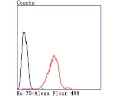 Flow Cytometry: Ku70/XRCC6 Antibody (JM61-31) [NBP2-66920] - Analysis of Hela cells with Ku 70 antibody at 1/50 dilution (red) compared with an unlabelled control (cells without incubation with primary antibody; black). Alexa Fluor 488-conjugated goat anti rabbit IgG was used as the secondary antibody.