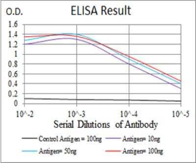 ELISA Kv4.2 Antibody (5B11B9) - BSA Free