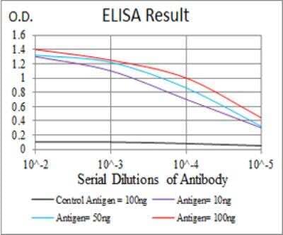 ELISA: Kv4.2 Antibody (7G6A10) [NBP2-52498] - Black line: Control Antigen (100 ng); Purple line: Antigen(10ng); Blue line: Antigen (50 ng); Red line: Antigen (100 ng).