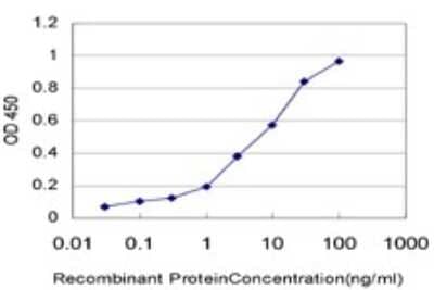 Sandwich ELISA: Kv7.5 Antibody (2E2) [H00056479-M01] - Detection limit for recombinant GST tagged KCNQ5 is approximately 0.1ng/ml as a capture antibody.