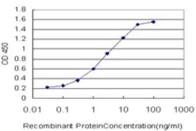 Sandwich ELISA: Kynureninase Antibody (1G2) [H00008942-M02] - Detection limit for recombinant GST tagged KYNU is approximately 0.1ng/ml as a capture antibody.