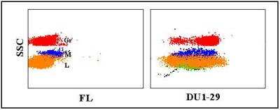 Flow Cytometry: L-Selectin/CD62L Antibody (DU1-29) [NBP2-60999] - Obtained with caprine leukocytes
