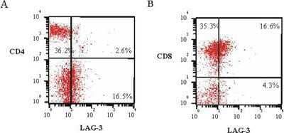 Flow Cytometry: LAG-3 Antibody (17B4) [NBP1-97657] - Analysis using the FITC conjugate of NBP1-97657. Staining of LAG-3 on CD4+ and CD8+ subpopulations of tumour infiltrating lymphocytes (TILs) detected with LAG-3 (human), mAb (17B4) (FITC).