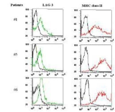 Flow Cytometry: LAG-3 Antibody (17B4) [NBP1-97657] - Analysis using the FITC conjugate of NBP1-97657. Tumor infiltrating lymphocytes (TILs) express LAG-3 (detected using LAG-3 (human), mAb (17B4). 