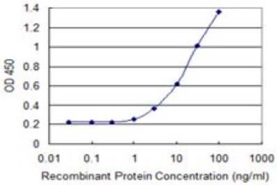 Sandwich ELISA: LAIR1 Antibody (3B2) [H00003903-M09] - Detection limit for recombinant GST tagged LAIR1 is 0.3 ng/ml as a capture antibody.