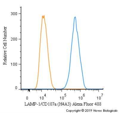 Flow Cytometry: LAMP-1/CD107a Antibody (H4A3) [Alexa Fluor® 488] [NBP2-25183AF488] - An intracellular stain was performed on U-87 cells with LAMP-1/CD107a Antibody (H4A3) NBP2-25183AF488 (blue) and a matched isotype control (orange). Cells were fixed with 4% PFA and then permeabilized with 0.1% saponin. Cells were incubated in an antibody dilution of 5 ug/mL for 30 minutes at room temperature. Both antibodies were conjugated to Alexa Fluor 488.