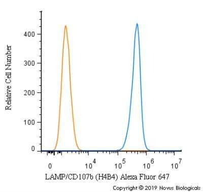 Flow Cytometry: LAMP-2/CD107b Antibody (H4B4) - Azide and BSA Free [NBP2-80825] - An intracellular stain was performed on U937 cells with HGF LAMP-2/CD107b [H4B4] Antibody NBP2-22217AF647 (blue) and a matched isotype control (orange). Cells were fixed with 4% PFA and then permeabilized with 0.1% saponin. Cells were incubated in an antibody dilution of 2.5 ug/mL for 30 minutes at room temperature. Both antibodies were directly conjugated to Alexa Fluor 647.