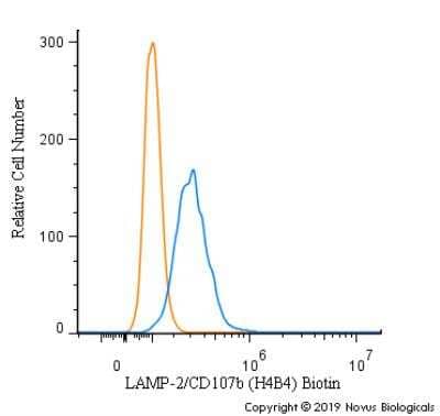 Flow Cytometry: LAMP-2/CD107b Antibody (H4B4) [Biotin] [NBP2-22217B] - An intracellular stain was performed on HeLa cells with LAMP-2/CD107b Antibody [H4B4] NBP2-22217B (blue) and a matched isotype control (orange). Both antibodies were conjugated to Biotin. Cells were fixed with 4% PFA and then permeabilized with 0.1% saponin. Cells were incubated in an antibody dilution of 2.5 ug/mL for 30 minutes at room temperature, followed by Streptavidin - R-Phycoerythrin Protein (2012-1000, Novus Biologicals).