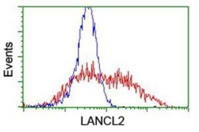 Flow Cytometry: LANCL2 Antibody (OTI2A11) - Azide and BSA Free [NBP2-72053] - HEK293T cells transfected with either overexpression plasmid (Red) or empty vector control plasmid (Blue) were immunostaining by anti-LANCL2 antibody, and then analyzed by flow cytometry.