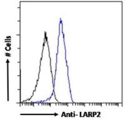 Flow Cytometry: LARP2 Antibody [NB100-60945] - Analysis of paraformaldehyde fixed HepG2 cells (blue line), permeabilized with 0.5% Triton. Primary incubation overnight (10ug/ml) followed by Alexa Fluor 488 secondary antibody (1 ug/mL). IgG control: Unimmunized goat IgG (black line) followed by Alexa Fluor 488 secondary antibody.
