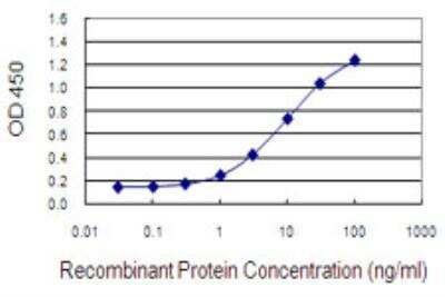 ELISA LASS3 Antibody (6C12) - Azide and BSA Free