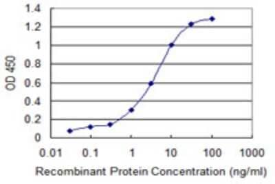 Sandwich ELISA: LASS4 Antibody (2C12) [H00079603-M05] - Detection limit for recombinant GST tagged LASS4 is 0.03 ng/ml as a capture antibody.