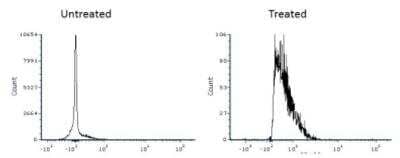 Flow Cytometry: LC3B Antibody (1251A) [Alexa Fluor 405] [NBP2-46892AF405] - HeLa cells untreated or treated with 50 uM chloroquine for 24h.