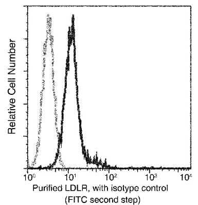 Flow Cytometry: LDLR Antibody (032) [NBP2-90523] - Flow cytometric analysis of Mouse LDLR expression on Raw264.7. Cells were stained with purified anti-Mouse LDLR, then a FITC-conjugated second step antibody. The fluorescence histograms were derived from gated events with the forward and side light-scatter characteristics of intact cells.