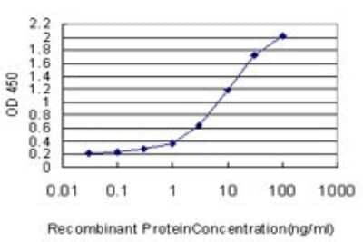 Sandwich ELISA: LEF1 Antibody (2C9) [H00051176-M04] - Detection limit for recombinant GST tagged LEF1 is approximately 0.3ng/ml as a capture antibody.