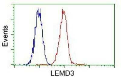 CyTOF-ready: LEMD3 Antibody (OTI6C10) - Azide and BSA Free [NBP2-71744] - Analysis of Hela cells, using anti-LEMD3 antibody, (Red) compared to a nonspecific negative control antibody (Blue).