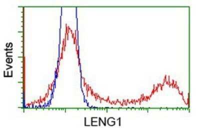 Flow Cytometry: LENG1 Antibody (OTI10A7) - Azide and BSA Free [NBP2-72202] - HEK293T cells transfected with either overexpression plasmid (Red) or empty vector control plasmid (Blue) were immunostaining by anti-LENG1 antibody, and then analyzed by flow cytometry.