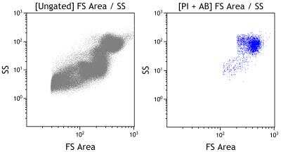 Flow Cytometry: LIF R alpha Antibody (MM0455-9B23) [Allophycocyanin] [NBP2-11774APC] - analysis of LIF R alpha in human white blood cell using anti-LIF R alpha antibody. Image from verified customer review.