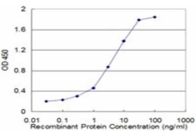 Sandwich ELISA: LIFR alpha Antibody (4A10) [H00003977-M01] - Detection limit for recombinant GST tagged LIFR is approximately 0.03ng/ml as a capture antibody.