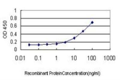 ELISA: LIM kinase 2 Antibody (2H2-E11) [H00003985-M01] - Detection limit for recombinant GST tagged LIMK2 is approximately 0.3ng/ml as a capture antibody.