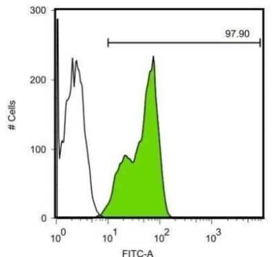 Flow Cytometry: LIN-28A Antibody (1086) [NBP2-43673] - Analysis of Human embryonic stem cells Black: Isotype control dilution: 1:50 Green: Lin28A antibody [1086] dilution: 1:50