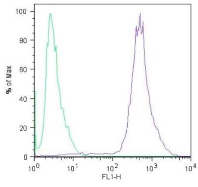 Flow Cytometry: LIN-28A Antibody (14E6-4E6) [NBP2-22481] - Analysis of Lin28 (blue histogram) on HEL 11.4 induced IPS cells. To generate single cells suspensions, colonies were treated with TrypLE cell dissociation enzyme for 5 minutes at 37C. Cells were incubated with a Lin28 monoclonal antibody or mouse IgG (green histogram) at a dilution of 1:100 for 1 hour on ice, washed with PBS + 5% fetal calf serum (FACS buffer), and incubated with a fluorescein-conjugated secondary antibody at a dilution of 1:200 for 30 minutes on ice. Cells were washed with cold FACS buffer, resuspended in 500ul of FACS buffer containing 10ul of 4% paraformaldehyde.