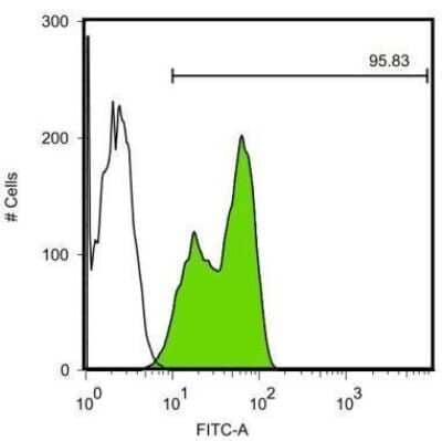 Flow Cytometry: LIN-28A Antibody (717) [NBP2-43672] - Analysis of Human embryonic stem cells Black: Isotype control dilution: 1:50 Green: Lin28A antibody [717] dilution: 1:50