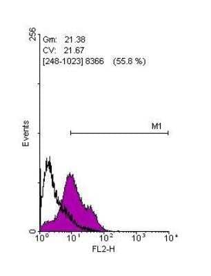 Flow Cytometry: LIN-28A Antibody [NBP2-19355] - Human embryonic stem cells, staining with LIN28 antibody at 1:100 dilution (purple) or rabbit IgG (black).