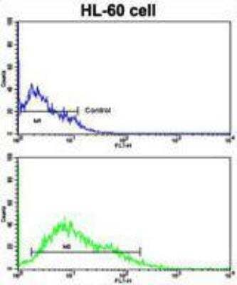 Flow Cytometry: LIN-28B Antibody [NBP1-50529] - Flow cytometric of HL-60 cells using LIN28B Antibody (bottom histogram) compared to a negative control cell (top histogram). FITC-conjugated goat-anti-rabbit secondary antibodies were used for the analysis.