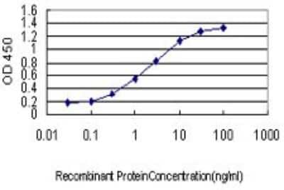 Sandwich ELISA: LIS1 Antibody (2C12) [H00005048-M01] - Detection limit for recombinant GST tagged PAFAH1B1 is approximately 0.03ng/ml as a capture antibody.