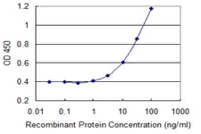 ELISA: LMO4 Antibody (2B6) [H00008543-M02] - Detection limit for recombinant GST tagged LMO4 is 0.3 ng/ml as a capture antibody.