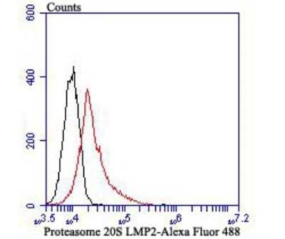 Flow Cytometry: LMP2/PSMB9 Antibody (JB35-07) [NBP2-75553] - Analysis of Daudi cells with Proteasome 20S LMP2 antibody at 1/100 dilution (red) compared with an unlabelled control (cells without incubation with primary antibody; black).