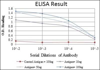 ELISA: LMP7/PSMB8 Antibody (1A5) [NBP2-37570] - Red: Control Antigen (100ng); Purple: Antigen (10ng); Green: Antigen (50ng); Blue: Antigen (100ng);