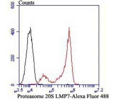 Flow Cytometry: LMP7/PSMB8 Antibody (JB54-32) [NBP2-75554] - Analysis of Daudi cells with Proteasome 20S LMP7 antibody at 1/100 dilution (red) compared with an unlabelled control (cells without incubation with primary antibody; black). Alexa Fluor 488-conjugated goat anti-rabbit IgG was used as the secondary antibody.