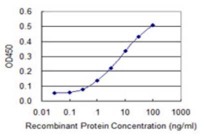 Sandwich ELISA: LMTK3 Antibody (1E1) [H00114783-M01] - Detection limit for recombinant GST tagged LMTK3 is 0.3 ng/ml as a capture antibody.