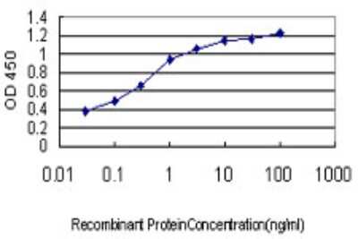 Sandwich ELISA: LONRF3 Antibody (1D5) [H00079836-M01] - Detection limit for recombinant GST tagged RNF127 is approximately 0.03ng/ml as a capture antibody.