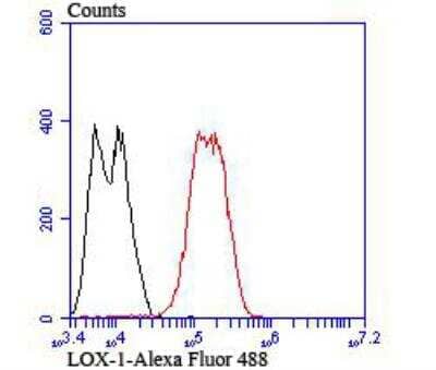 Flow Cytometry: LOX-1/OLR1 Antibody [NBP2-89136] - Analysis of LOVO cells with LOX1 antibody at 1/100 dilution (red) compared with an unlabelled control (cells without incubation with primary antibody; black). Alexa Fluor 488-conjugated goat anti rabbit IgG was used as the secondary antibody.