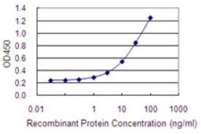 Sandwich ELISA: LOXL4 Antibody (4H7) [H00084171-M01] - Detection limit for recombinant GST tagged LOXL4 is 0.3 ng/ml as a capture antibody.