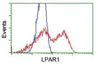 Flow Cytometry: LPAR1/LPA1/EDG-2 Antibody (OTI1G6) - Azide and BSA Free [NBP2-72519] - HEK293T cells transfected with either overexpression plasmid (Red) or empty vector control plasmid (Blue) were immunostaining by anti-EDG2 antibody, and then analyzed by flow cytometry.