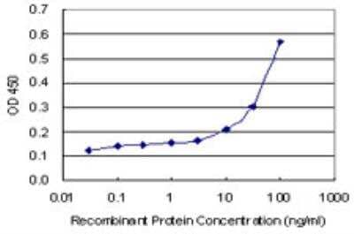 ELISA: LRRN1/NLRR-1 Antibody (3D11) [H00057633-M05-100ug] - Detection limit for recombinant GST tagged LRRN1 is 3 ng/ml as a capture antibody.