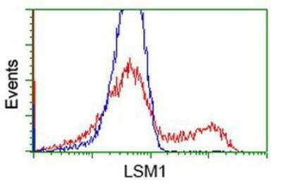 Flow Cytometry: LSM1 Antibody (OTI5C6) - Azide and BSA Free [NBP2-72547] - HEK293T cells transfected with either overexpression plasmid (Red) or empty vector control plasmid (Blue) were immunostaining by anti-LSM1 antibody, and then analyzed by flow cytometry.