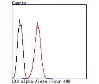 Flow Cytometry: LXR alpha/NR1H3 Antibody (JA20-38) [NBP2-66938] - Analysis of HepG2 cells with LXR alpha/NR1H3 antibody at 1/100 dilution (red) compared with an unlabelled control (cells without incubation with primary antibody; black).