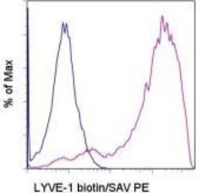 Flow Cytometry: LYVE-1 Antibody (ALY7) [Biotin] [NBP1-43645] - Staining of LYVE-1 transfected cells with 0.06 ug of Rat IgG1 k Isotype Control Biotin (blue histogram) or 0.06 ug of Anti-Mouse Lyve-1 Biotin (purple histogram) followed by Streptavidin PE. Total viable cells were used for analysis.